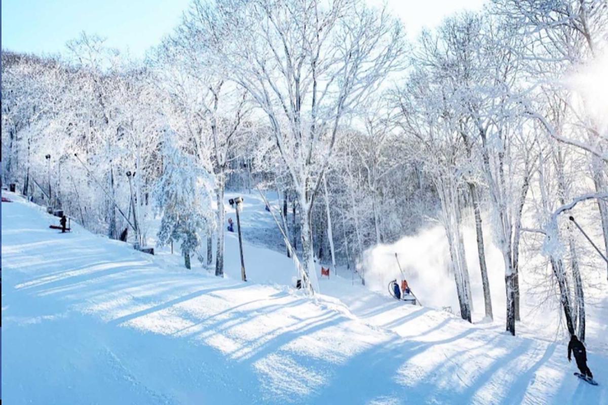 Popular attractions Area Nearby Property